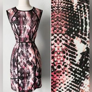 Jennifer Lopez Snakeskin Ponte Sheath Dress Size 8